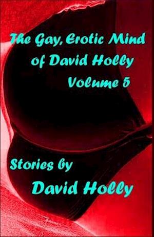 The Gay, Erotic Mind of David Holly, Volume 5