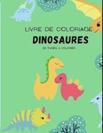 Livre de coloriage dinosaures