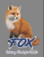 Fox Coloring Book for Adults