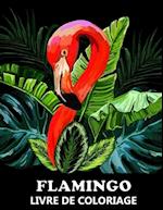 Flamingo Livre De Coloriage