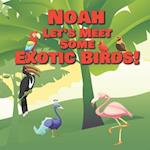 Noah Let's Meet Some Exotic Birds!