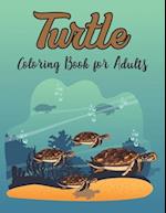 Turtle Coloring Book for Adults