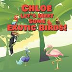 Chloe Let's Meet Some Exotic Birds!