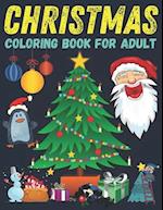 Christmas coloring book for adult