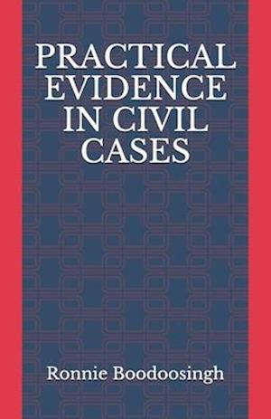 Practical Evidence in Civil Cases