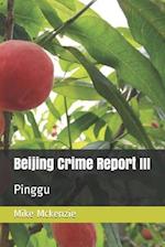 Beijing Crime Report III