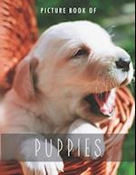 Picture Book of Puppies