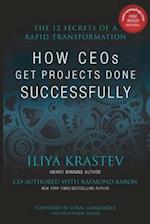 How CEOs Get Projects Done Successfully