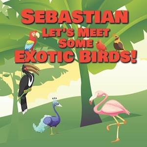 Sebastian Let's Meet Some Exotic Birds!