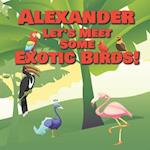 Alexander Let's Meet Some Exotic Birds!