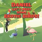 Daniel Let's Meet Some Exotic Birds!