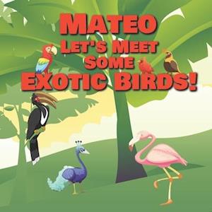 Mateo Let's Meet Some Exotic Birds!