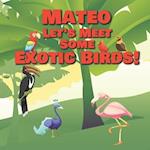 Mateo Let's Meet Some Exotic Birds!