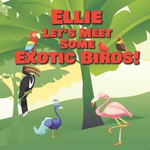 Ellie Let's Meet Some Exotic Birds!