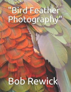 Bird Feather Photography