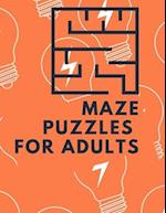 Maze Puzzles for Adults