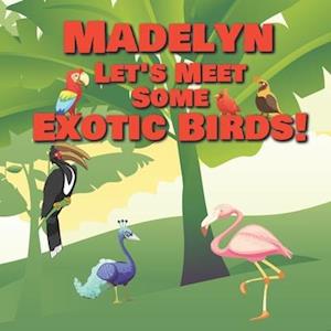 Madelyn Let's Meet Some Exotic Birds!