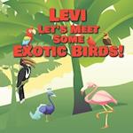 Levi Let's Meet Some Exotic Birds!