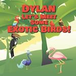 Dylan Let's Meet Some Exotic Birds!