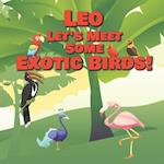 Leo Let's Meet Some Exotic Birds!