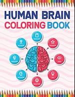 Human Brain Coloring Book