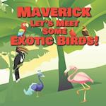 Maverick Let's Meet Some Exotic Birds!