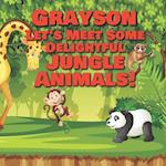 Grayson Let's Meet Some Delightful Jungle Animals!