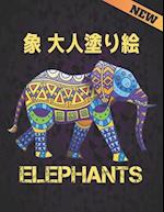 Elephants &#35937; &#22823;&#20154;&#22615;&#12426;&#32117;