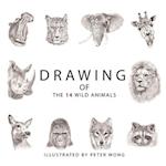 Drawing of the 14 Wild Animals