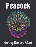 Peacock Coloring Book for Adults