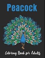Peacock Coloring Book for Adults