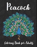 Peacock Coloring Book for Adults