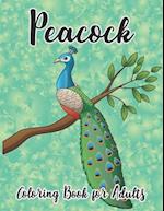 Peacock Coloring Book for Adults