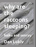 why are the raccoons sleeping?: haiku and senryu 