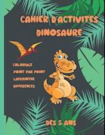 Cahier d'activités Dinosaure, dés 5 ans.