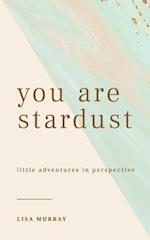 You are Stardust