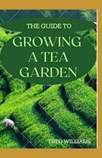 The Guide to Growing a Tea Garden