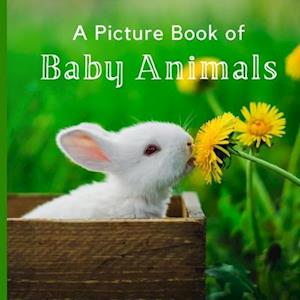 A Picture Book of Baby Animals: A Beautiful Picture Book for Seniors With Alzheimer's or Dementia.