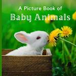 A Picture Book of Baby Animals: A Beautiful Picture Book for Seniors With Alzheimer's or Dementia. 