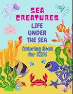 Sea Creatures Life Under The Sea