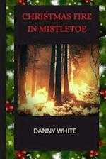 Christmas Fire In Mistletoe