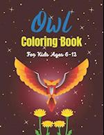 Owl Coloring Book For Kids Ages 6-12