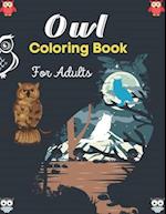 Owl Coloring Book For Adults