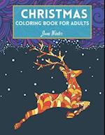 Christmas Coloring Book for Adults