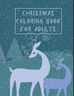 Christmas Coloring Book For Adults