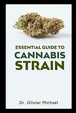 Essential Guide to Cannabis Strain