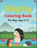 Hedgehog Coloring Book For Boys Ages 8-12