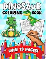 Dinosaur Coloring Book