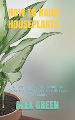 How to Raise Houseplants