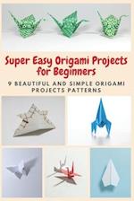Super Easy Origami Projects for Beginners